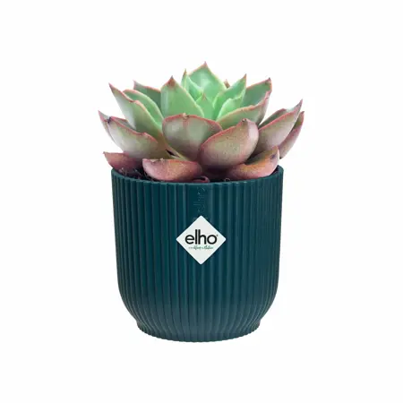 Elho Bloempot Vibes Fold rond Mini 11cm blauw - afbeelding 3