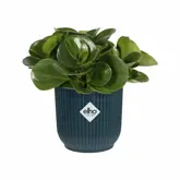 Elho Bloempot Vibes Fold rond Mini 11cm blauw - afbeelding 4