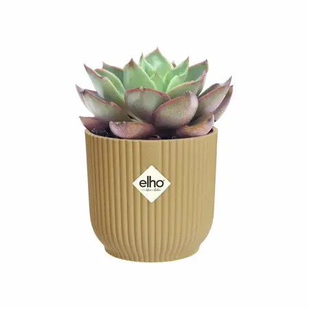 Elho Bloempot Vibes Fold rond Mini 11cm geel - afbeelding 3