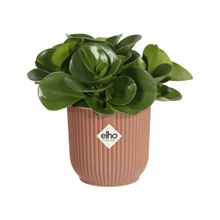 Elho Bloempot Vibes Fold rond Mini 11cm roze - afbeelding 2