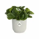 Elho Bloempot Vibes Fold rond Mini 11cm wit - afbeelding 3