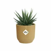 Elho Bloempot Vibes Fold rond Mini 7cm geel - afbeelding 4