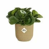 Elho Bloempot Vibes Fold rond Mini 9cm geel - afbeelding 2