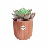 Elho Bloempot Vibes Fold rond Mini 9cm roze - afbeelding 4