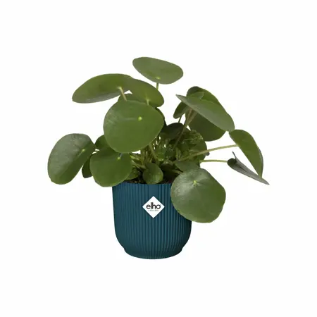 Elho Bloempot Vibes Fold rond wielen 35cm blauw - afbeelding 3