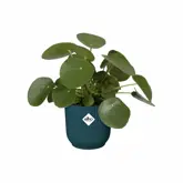 Elho Bloempot Vibes Fold rond wielen 35cm blauw - afbeelding 3