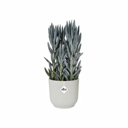 Elho Bloempot Vibes Fold rond wielen 35cm wit - afbeelding 2