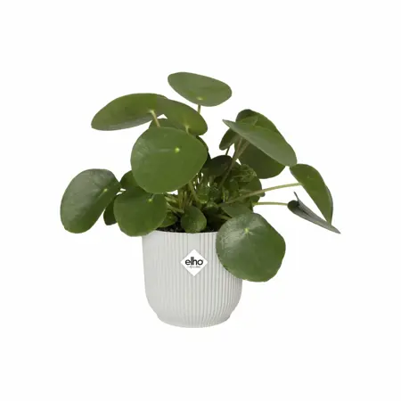 Elho Bloempot Vibes Fold rond wielen 35cm wit - afbeelding 3