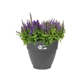 Elho vibia campana rond 40cm antraciet - afbeelding 2