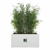 Elho Bloempot Vivo Next Lang 60cm wit - afbeelding 2