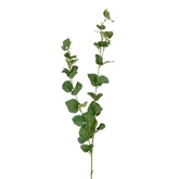 Eucalyptus groen - l94cm