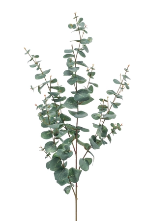 Eucalyptus spray green/grey 115cm