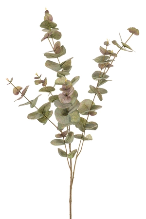 Eucalyptus spray green/grey 97cm