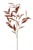 Eucalyptus spray orange 95cm