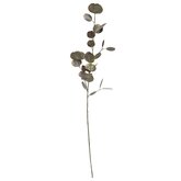 Eucalyptus tak 80cm - afbeelding 2