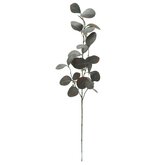 Eucalyptus tak met bloesem 76cm - afbeelding 2