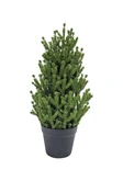 Evergreen Kunstkerstboom Conica - H 60 cm