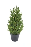 Evergreen Kunstkerstboom Conica - incl 50 lampjes - H 60 cm