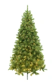 Evergreen Kunstkerstboom Everest - incl 300 lampjes - H 180 x D 101 cm