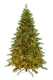 Evergreen Kunstkerstboom Janga premium deluxe - incl 2000 lampjes - H 180 x D 125 cm