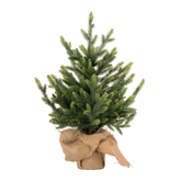 Evergreen Kunstkerstboom Makalu - H 60 x D 30 cm