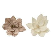 Everlands Poinsettia Bloemenclip 23 cm Assorti Roomwit en Licht Bruin  