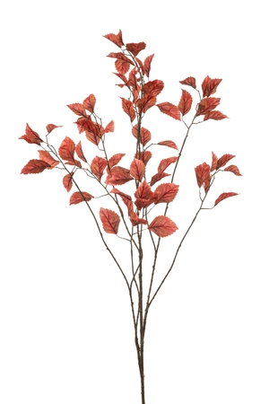 Fagus lvs spray coral 135cm