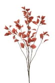 Fagus lvs spray coral 135cm