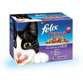 Felix pouch 12-pack senior