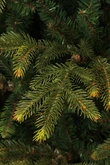 Frasier x-mas tree green - h260xd161cm - afbeelding 3