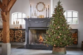 Frasier x-mas tree green - h260xd161cm - afbeelding 4