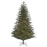 Frasier x-mas tree led green - 3208 tips - H 230 x D 147 cm 480L incl. timer/dim