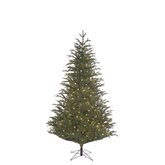 Black Box Trees Frasier Fir Kunstkerstboom LED Groen - H 185 x D 124 cm