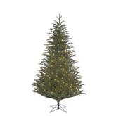 Black Box Trees Frasier Fir Kunstkerstboom LED Groen - H 215 x D 145 cm