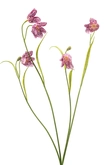 Fritillaria spray beauty 52cm