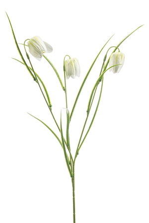 Fritillaria spray white/green 53cm