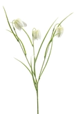 Fritillaria spray white/green 53cm