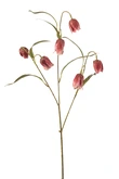 Frittilaria spray x3 tt pink 58cm