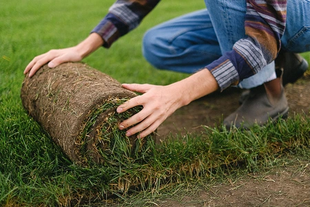 Graszoden per m² - TuinWereld Wijchen - afbeelding 2