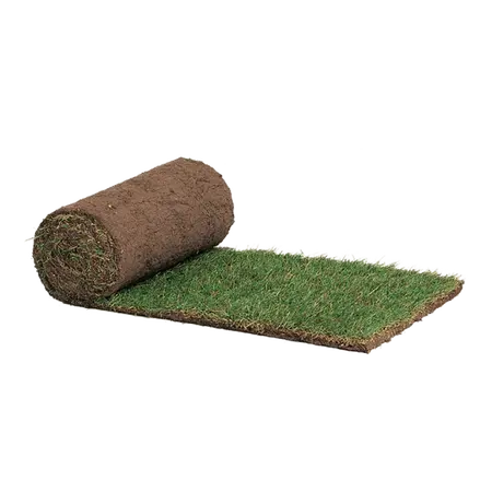 Graszoden per m² - TuinWereld Wijchen - afbeelding 1