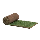 Graszoden per m² - TuinWereld Wijchen - afbeelding 1