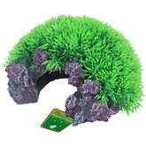 Boon ornament bubbel polyresin Green Moss plant en halve rots met uitstromer 16x8,5 cm