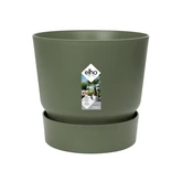 greenville rnd 18cm blad groen - afbeelding 2