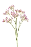 Gypsophila spray lilac 68cm
