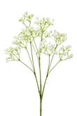 Gypsophila spray white 68cm