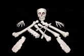 Halloween zakje botten 12 stuks