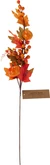 Herfst Tak 70cm (1 stuk, div. soorten) - afbeelding 3