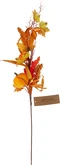 Herfst Tak 70cm (1 stuk, div. soorten) - afbeelding 4