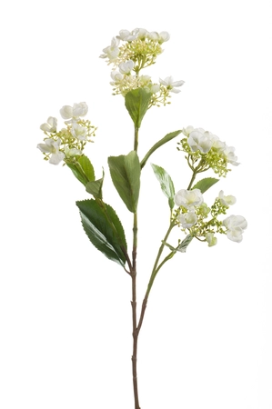 Hortensia Tak Zijde - 75cm Crme
