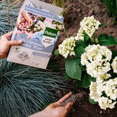 Hortensiamest 1kg - afbeelding 3